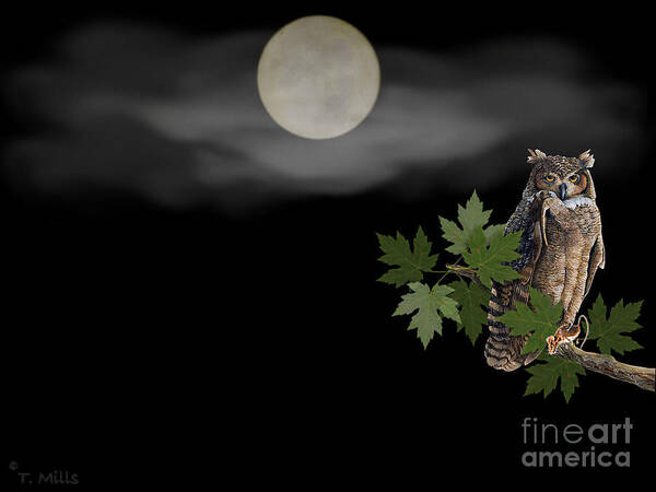 Owl Art Print featuring the digital art Owl by Terri Mills