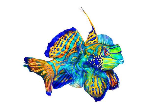 Pacific Mandarinfish Art Print featuring the mixed media Pacific Mandarinfish by David Wagner