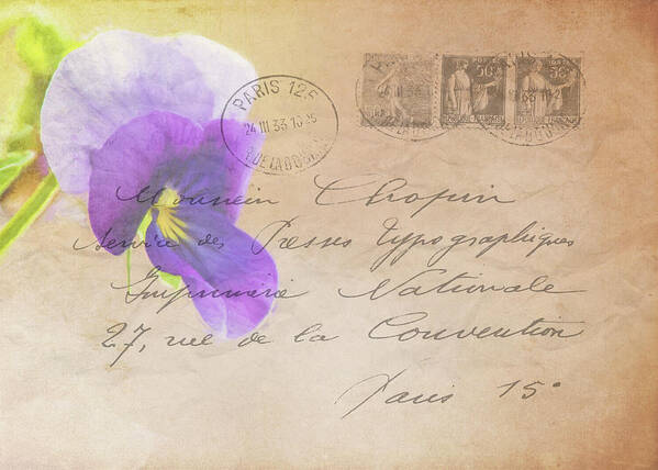 Pansy Art Print featuring the photograph Pansy Postcard by Cathy Kovarik