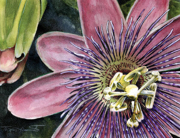 Passion Flower Art Print featuring the painting Passion Flower by Thomas Hamm