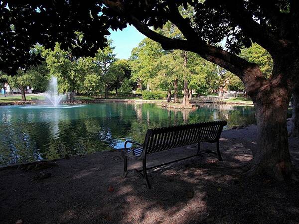 Water Art Print featuring the photograph Peaceful Seat at OSU by Buck Buchanan