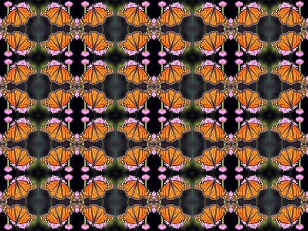 Butterfly Art Print featuring the photograph Picture Putty Puzzle 34 by Pamela Critchlow