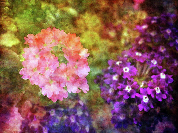 Pink Art Print featuring the photograph Pink and Purple 0919 IDP_2 by Steven Ward