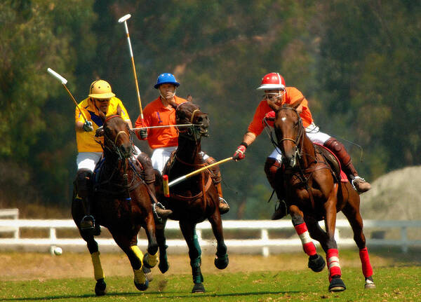 Polo Art Print featuring the photograph Polo by Marc Bittan