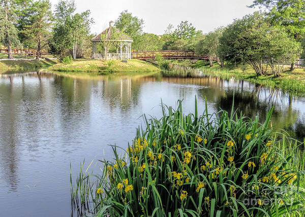 Plymouth Cordage Co Art Print featuring the photograph Pond and Gazebo at Cordage Park  by Janice Drew