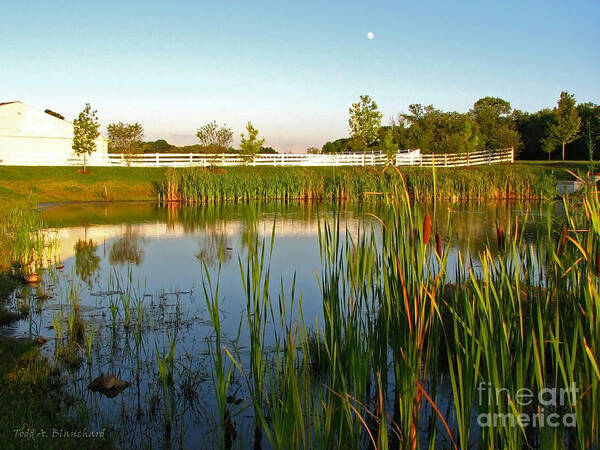 Landscape Art Print featuring the photograph Pond at Sunset by Todd Blanchard