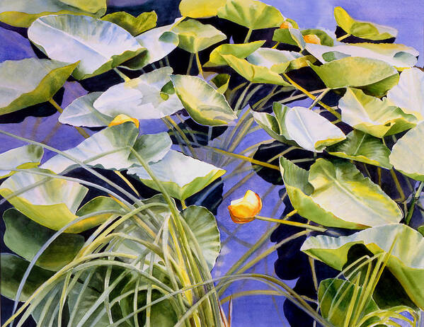 Pond Art Print featuring the painting Pond Lilies by Sharon Freeman