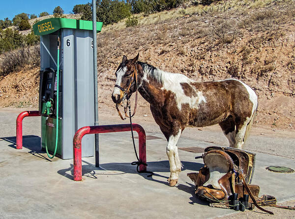 Horse Art Print featuring the photograph Pony at the Pump by Britt Runyon