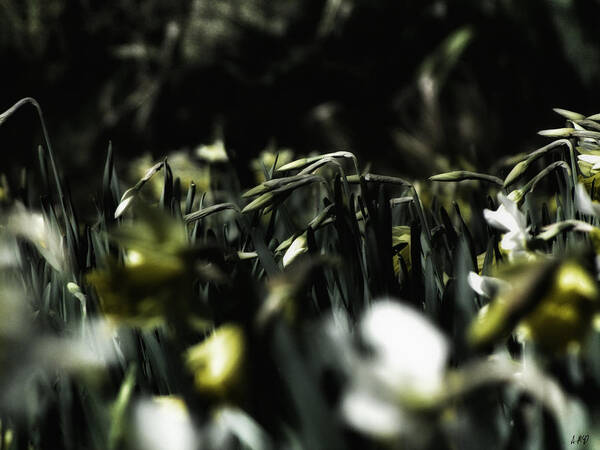 Ships Art Print featuring the photograph Promises of Spring. by Andrew McDrury