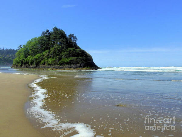 Proposal Rock Art Print featuring the photograph Proposal Rock Coastline by Scott Cameron