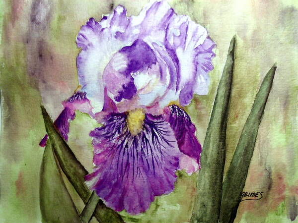 Iris Art Print featuring the painting Purple Beauty by Carol Grimes