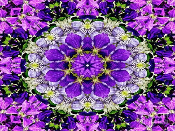Purple Flower Art Print featuring the photograph Purple Passion Floral Design by Carol F Austin