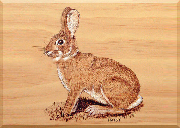 Hare Art Print featuring the pyrography Rabbit by Ron Haist