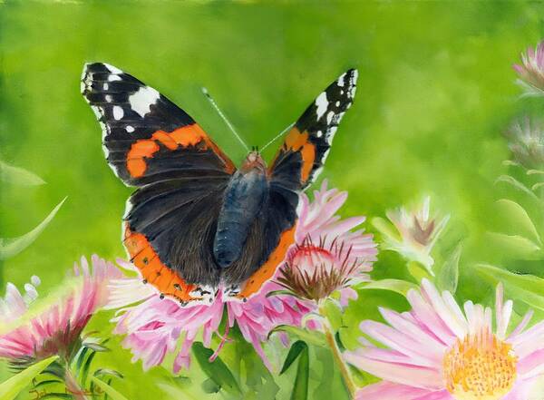 Red Admiral Art Print featuring the painting Red Admiral by John Neeve