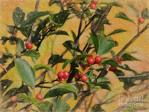 Birds Art Print featuring the photograph Red Berry by Mim White