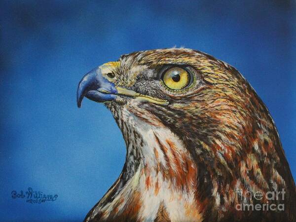 Hawk Art Print featuring the painting Red-Tailed Hawk......Honor by Bob Williams
