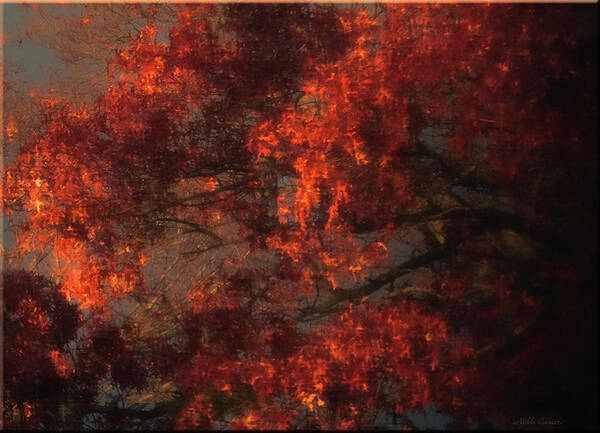Autumn Art Print featuring the photograph Red Tree Scene by Mikki Cucuzzo