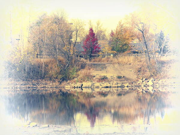 Diane M Dittus Art Print featuring the photograph Reflections on a Pond - 2 by Diane M Dittus