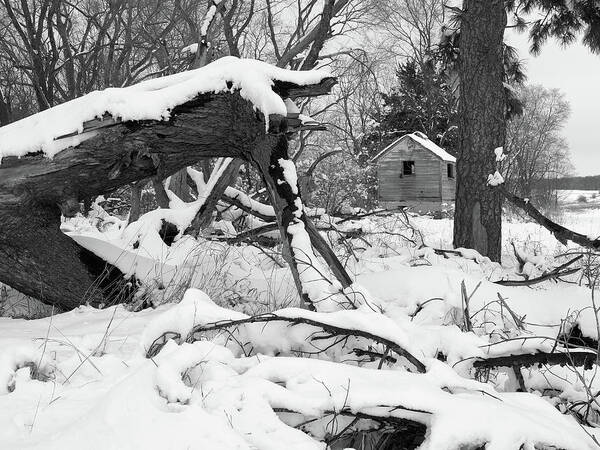 Snow Art Print featuring the photograph Relic Farm Building by Scott Kingery