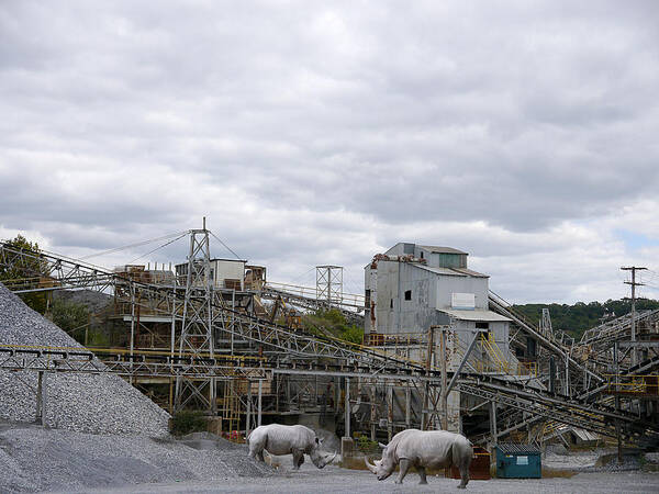 Richard Reeve Art Print featuring the photograph Rhino Quarry - Break Time by Richard Reeve