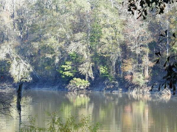 River Art Print featuring the photograph River Fantasy by Jan Gelders