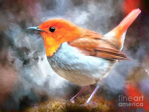 Robin Art Print featuring the photograph Robin Redbreast by Jack Torcello