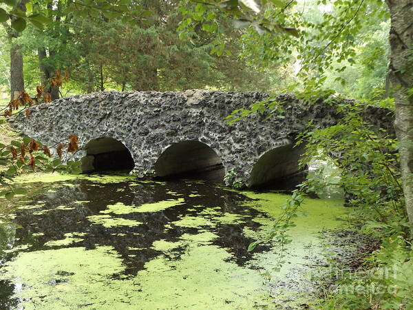 Bridge Art Print featuring the photograph Rock Bridge by Erick Schmidt