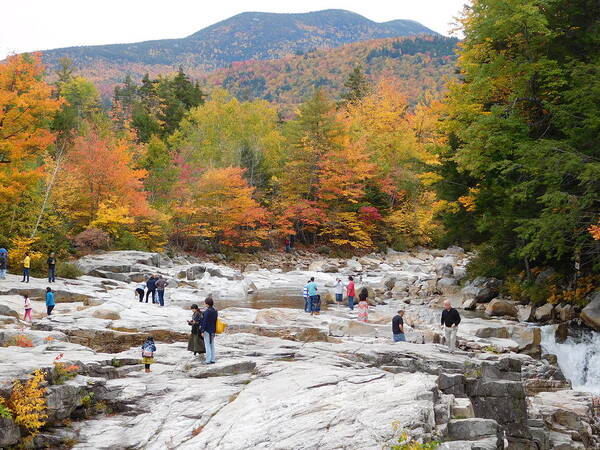 Rocky Gorge Art Print featuring the photograph Rocky Gorge in Albany NH by Catherine Gagne