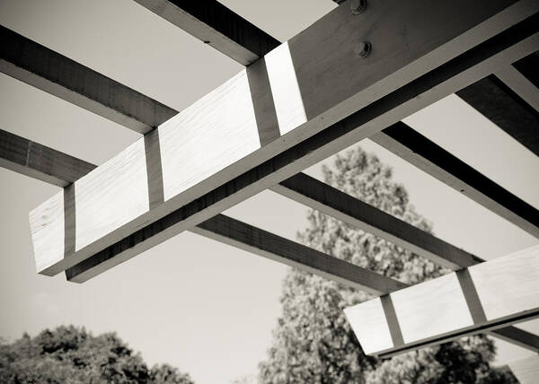 Lines Art Print featuring the photograph Roof Beams by Edward Myers