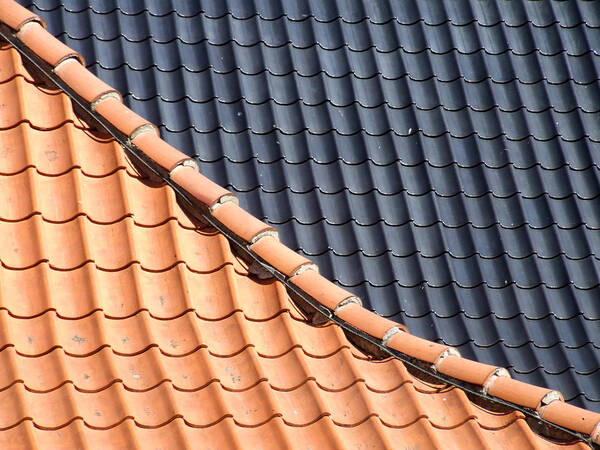 Roof Tiles Art Print featuring the photograph Roof Tiles by Helen Jackson