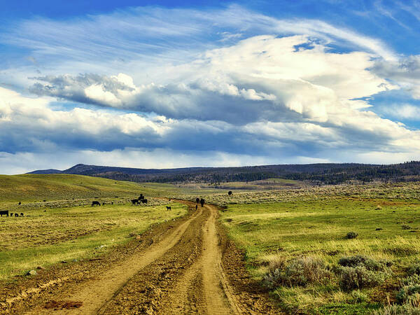 Ranch Art Print featuring the photograph Room To Roam - Wyoming by Mountain Dreams