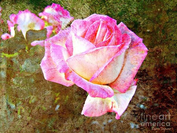 Rose Art Print featuring the mixed media Rustic Rose by Leanne Seymour