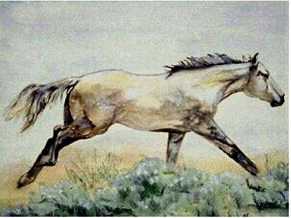 Quarter Horse Art Print featuring the painting Sage Runner by Debra Sandstrom