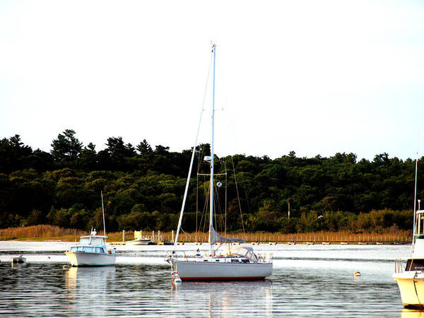 Sail Boat Art Print featuring the photograph Sail Boat at Anchor by Bruce Gannon