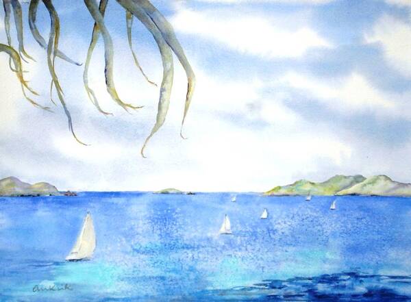 Caribbean Art Print featuring the painting Sailing Between the Islandsd by Diane Kirk