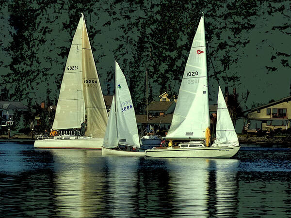 Sailing The Harbor Art Print featuring the photograph Sailing the Harbor by David Patterson