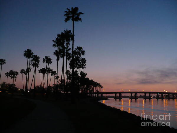 Sunset Art Print featuring the photograph San Diego Sunset with Palm Trees by Carol Groenen