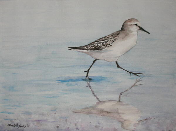 Bird Art Print featuring the painting Sand Piper by Charlotte Yealey