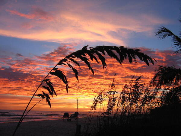 Photograph Art Print featuring the photograph Sanibel Island Sunset by Nick Flavin