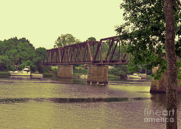 River Art Print featuring the photograph Savannah River In Augusta by Lydia Holly