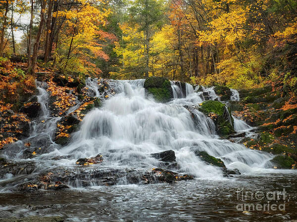 Waterfalls Art Print featuring the photograph Sawkill Creek Falls by Claudia Kuhn