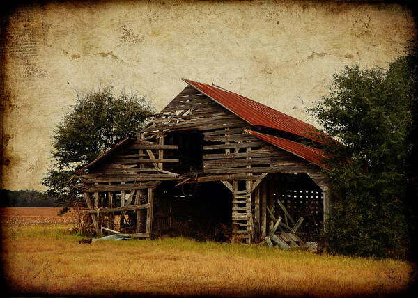Barn Art Print featuring the photograph Scene from a Southern Country Road by Carla Parris