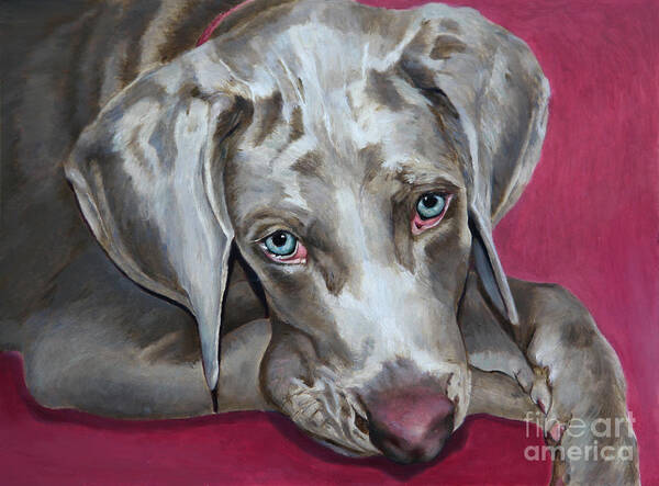 Dog Painting Art Print featuring the painting Scooby Weimaraner Pet Portrait by Portraits By NC
