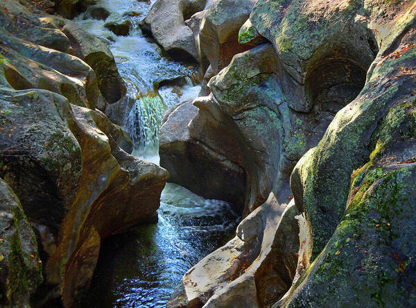 Sculptured Rocks Art Print featuring the photograph Sculptured Rocks by Nancy Griswold