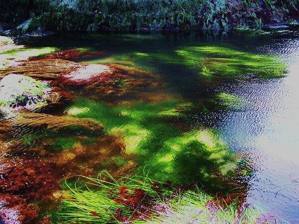 Tide Pool Art Print featuring the photograph Sea Grass by Julie Rauscher