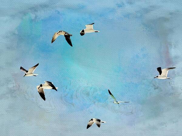 Sea Gulls Art Print featuring the photograph Sea Gulls in flight by Athala Bruckner