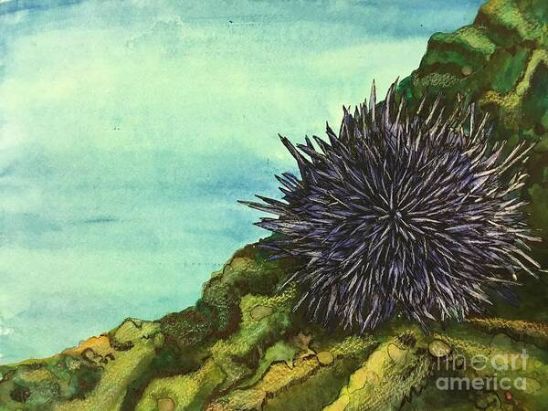  Sea Art Print featuring the mixed media Sea Urchin  by Mastiff Studios