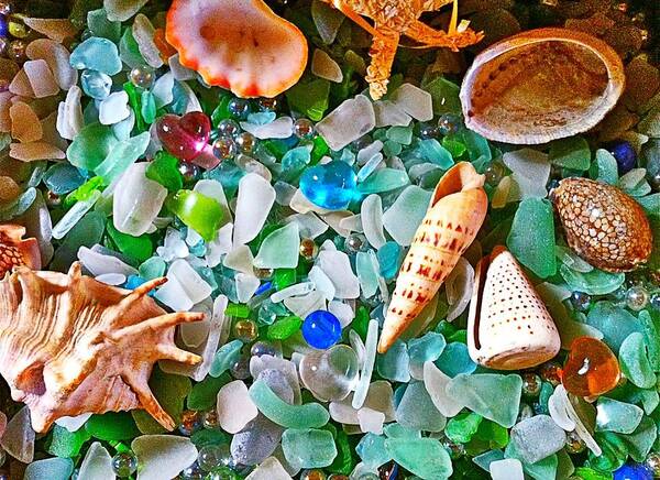 Shells Art Print featuring the photograph Shells and Glass by Gini Moore