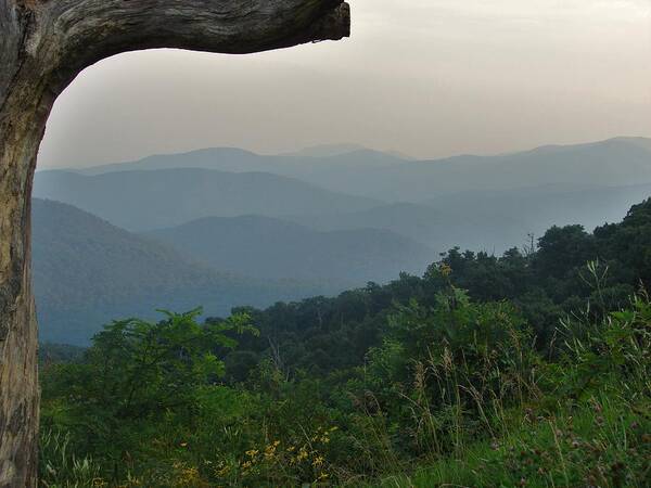 Landscape Art Print featuring the photograph Shenandoah Valley by Carl Moore