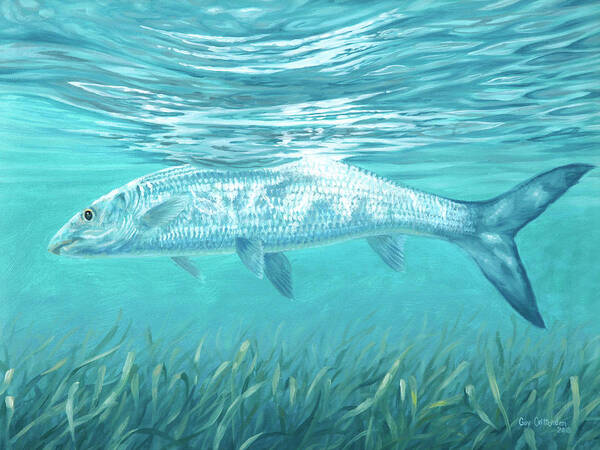 Bone Fish Art Print featuring the painting Silver Flash by Guy Crittenden